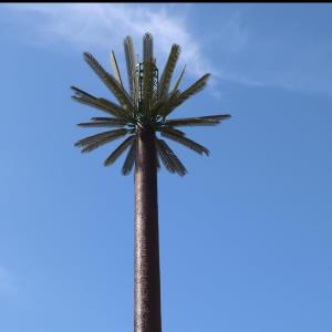 Palmiye Kule